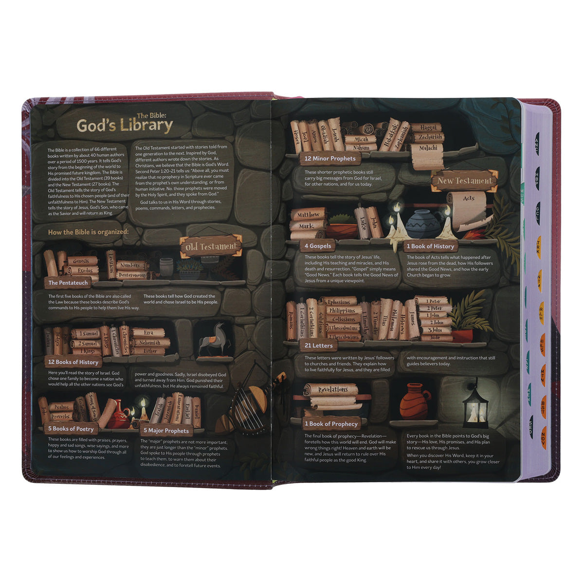 NLT Pink Faux Leather The Discovery Bible with Indexing Tabs