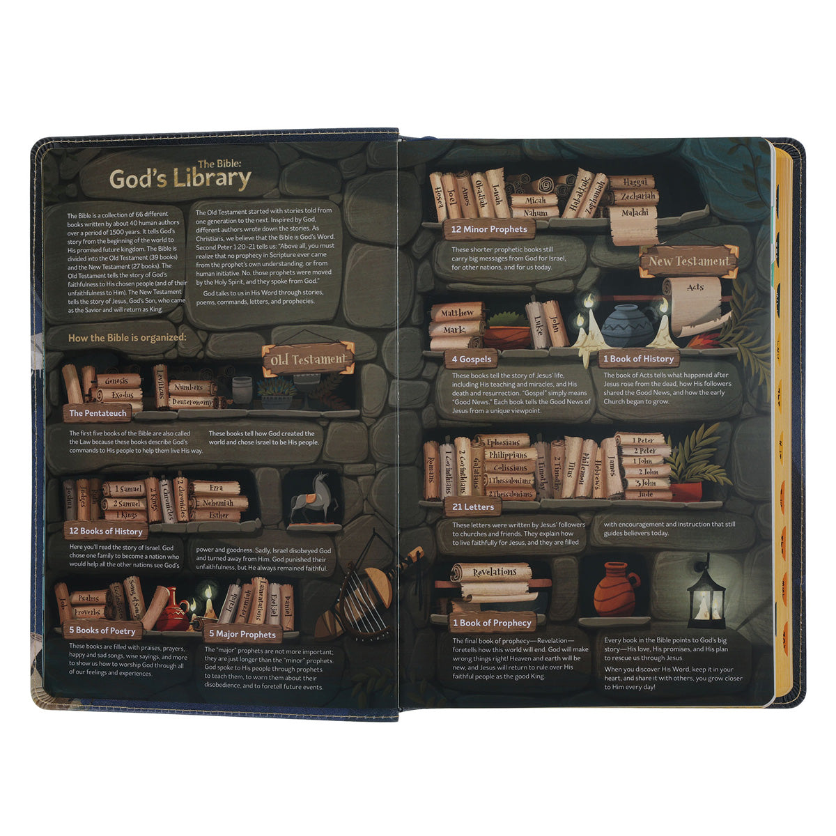 NLT Blue Faux Leather The Discovery Bible with Indexing Tabs