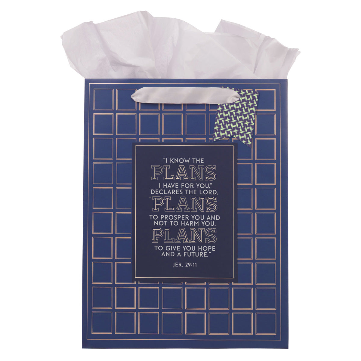 I Know the Plans Grid Navy Portrait Gift Bag with Gift Tag
