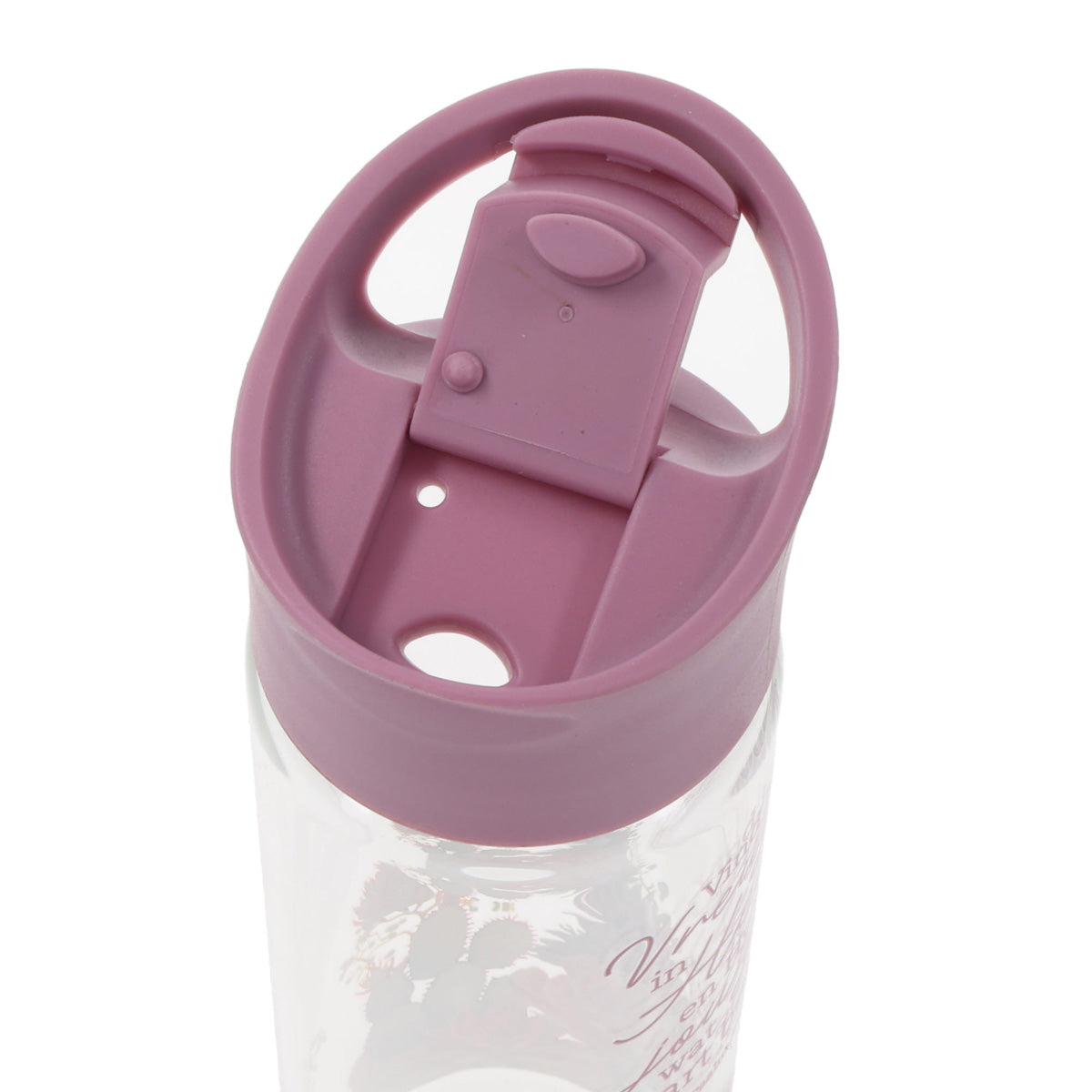 Vind Jou Vreugde in die Here en Hy Sal Jou Gee Wat Jou Hart Begeer Afrikaans Glass Water Bottle