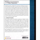 1 Corinthians (Zondervan Exegetical Commentary On The New Testament)(Hardcover)