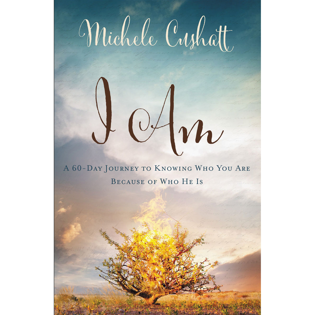 I Am (Paperback)