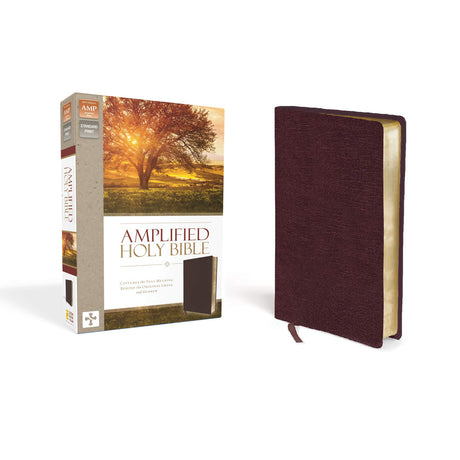 Amplified Holy Bible Large Print Burgundy (Bonded Leather)