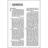 NIV Reference Bible Red Letter Super Giant Print Grey / Red (Imitation Leather)