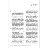 NIV Outreach Bible Large Print Orange Cross (Paperback)
