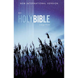 NIV Outreach Bible Large Print Blue Wheat (Paperback)