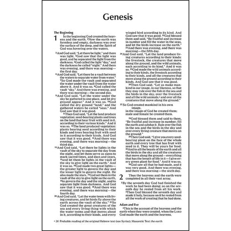 NIV Value Outreach Bible Red / Blue Stripes (Paperback)