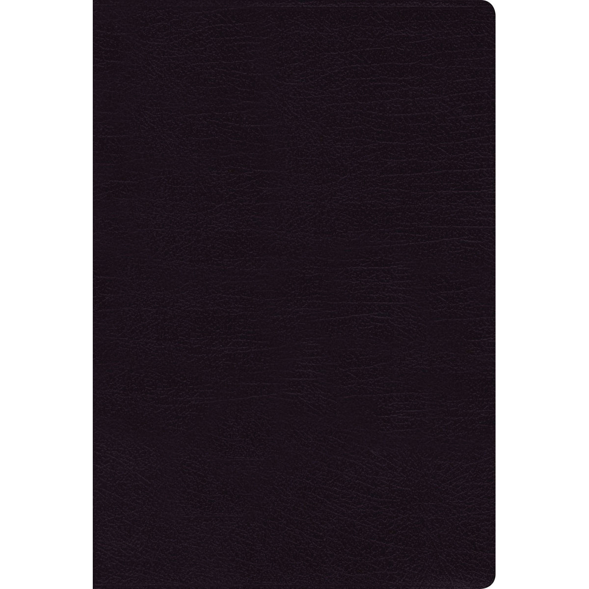 NIV Thinline Bible Large Print Black Indexed Red Letter Edition (Comfort Print)(Bonded Leather)