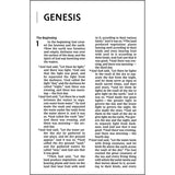 NIV Thinline Bible Giant Print Black Red Letter Edition (Comfort Print)(Bonded Leather)