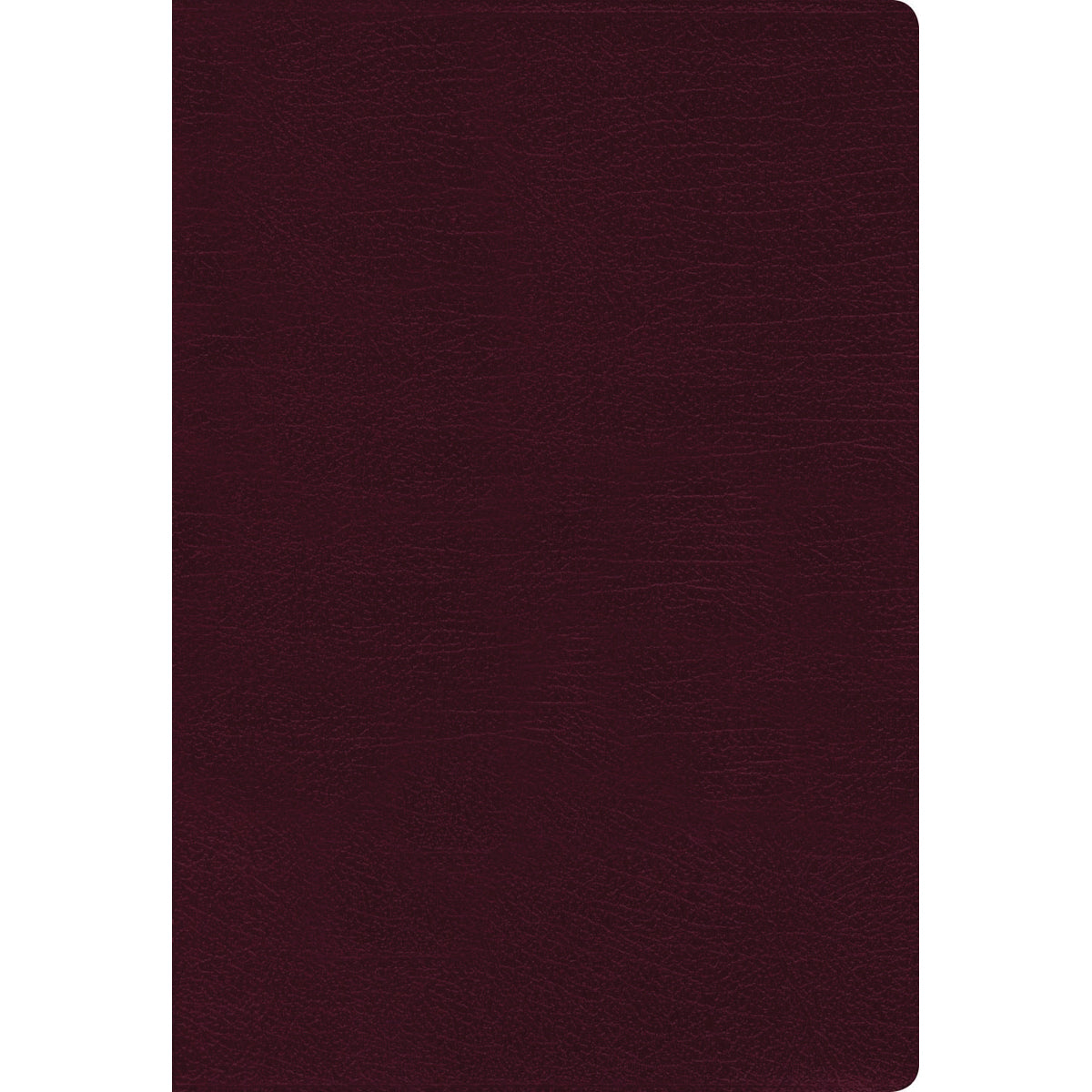 NIV Thinline Giant Print Indexed Red Letter Burgundy (Comfort Print)(Bonded Leat