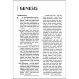 NIV Ref Giant Print Red Letter Brown (Comfort Print)(Imitation Leather)