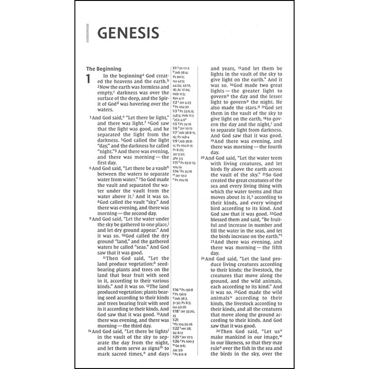 NIV Thinline Reference Red Letter Black (Comfort Print)(Bonded Leather)