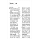 NIV Thinline Reference Red Letter Black (Comfort Print)(Bonded Leather)