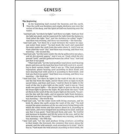 NIV Artisan Collection Bible Red Letter Pink Art (Comfort Print)(Hardcover)