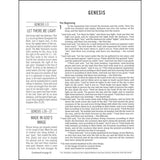 NIV Jesus Bible NIV Edition Multi-Color / Teal (Comfort Print)(Imitation Leather)