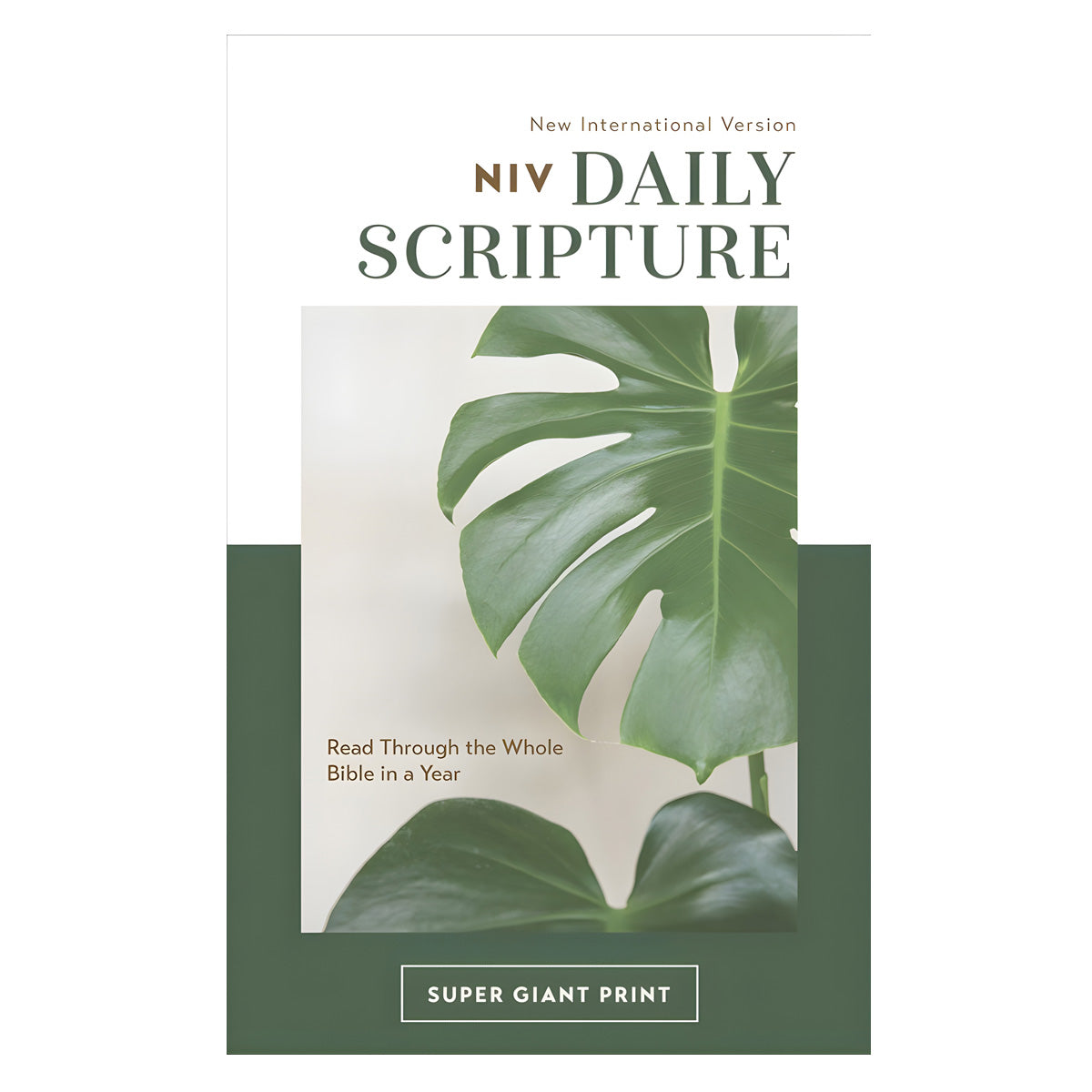 NIV White and Green Paperback Daily Scripture Bible Super Giant Comfort Print