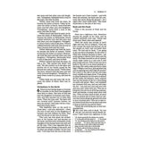NIV Pink Imitation Leather Thinline Bible Red Letter Large Comfort Print