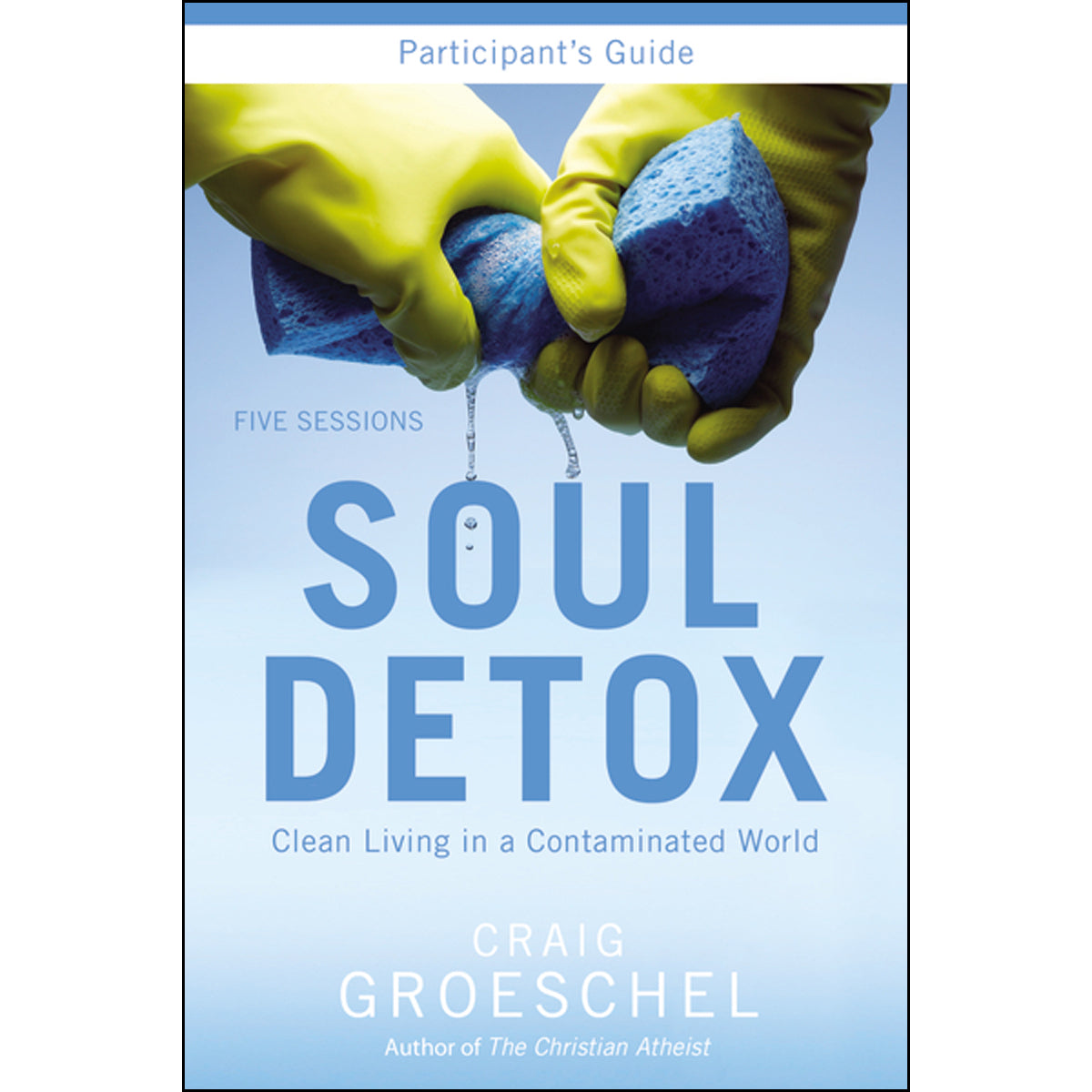 Soul Detox (Paperback Participant's Guide)