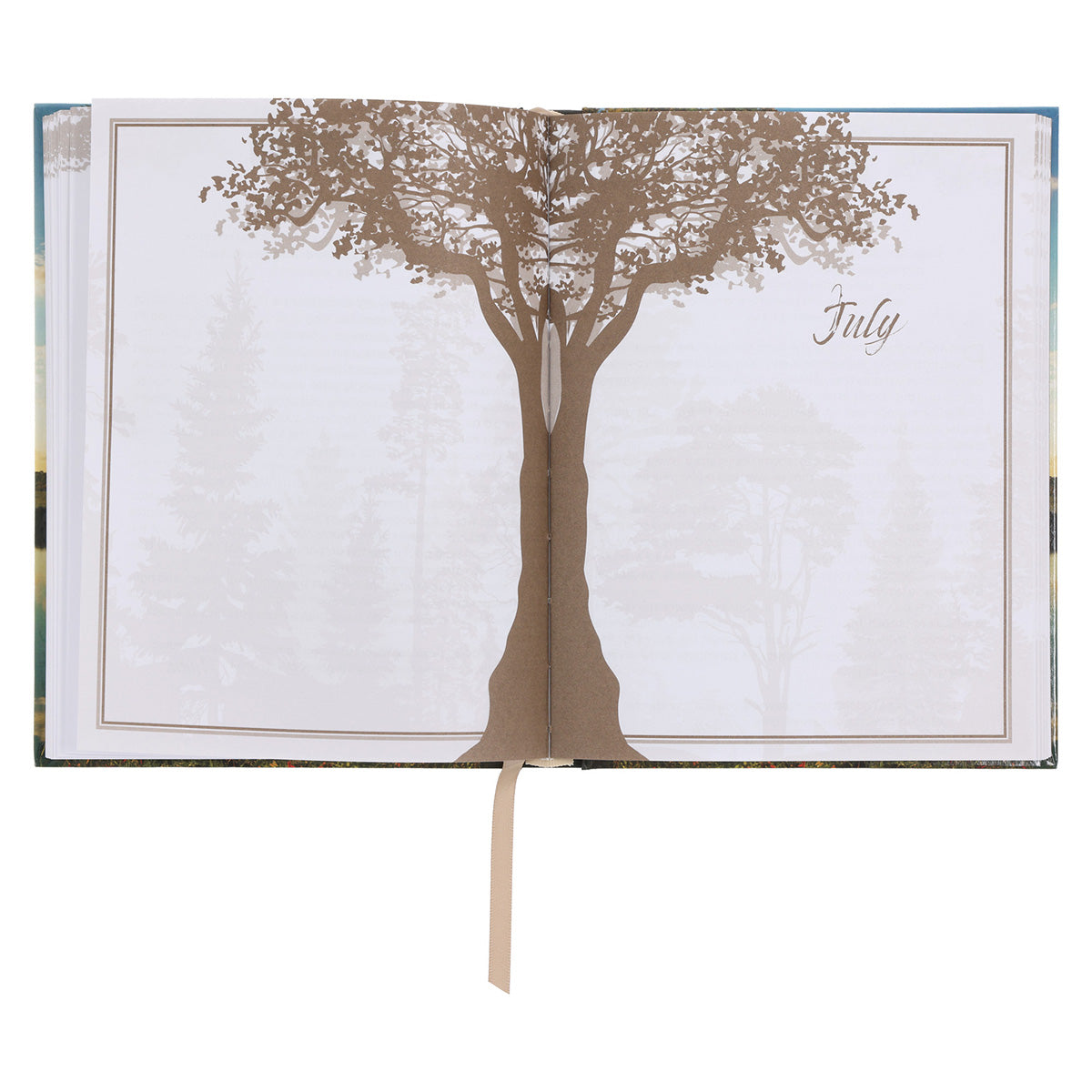 Rooted in Faith: 366 Days to a Deeper Walk with God (Hardcover)