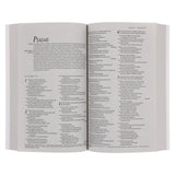 NLT Blue and Orange Watercolor Paperback Outreach Bible