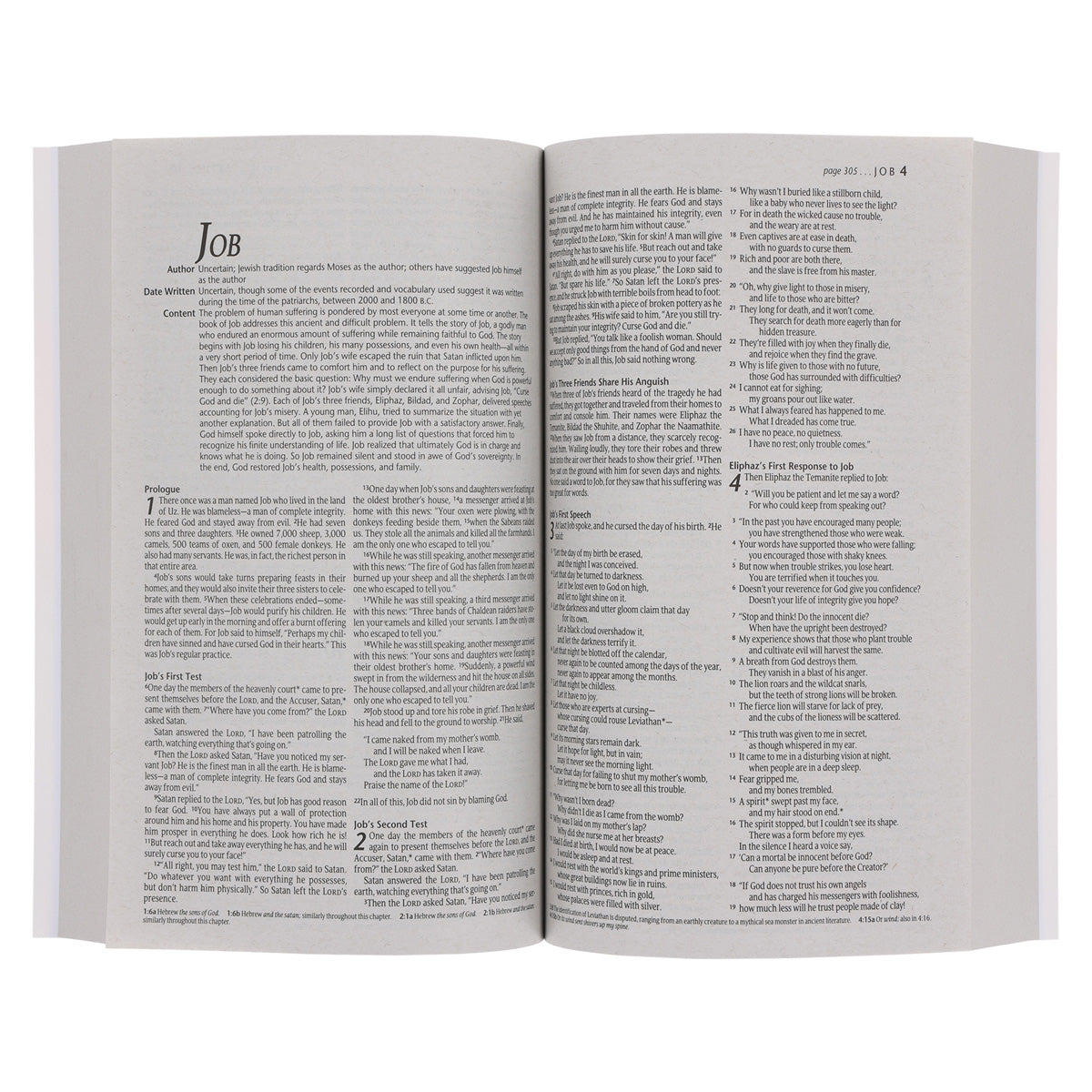 NLT Lion Paperback Outreach Bible