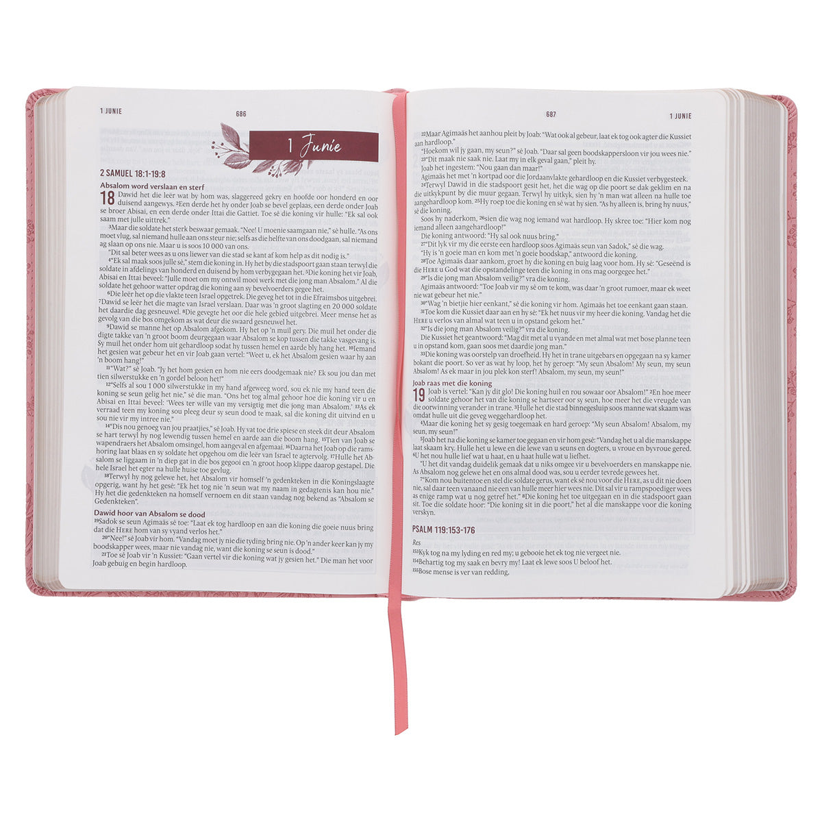 NLV Ligpienk Proteas Kunsleer Stiltetydbybel vir Vroue