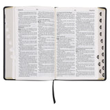 Afrikaans 1933/1953 Vertaling Swart Kunsleer Bybel