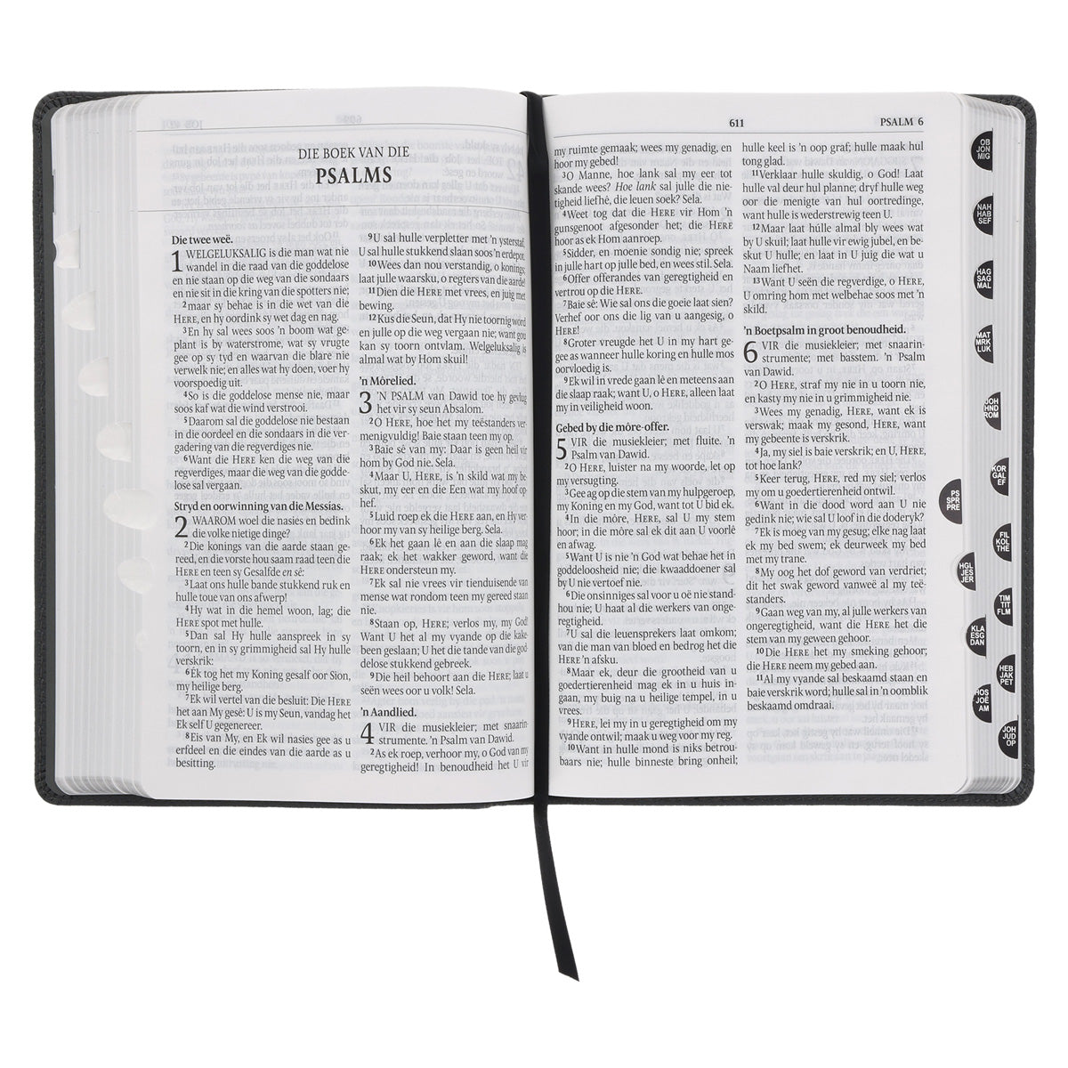 Afrikaans 1933/1953 Vertaling Steenkool Egte Leer Bybel