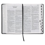 Afrikaans 1933/1953 Vertaling Steenkool Egte Leer Bybel