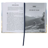 Vaste Geloof Grootdruk Dagstukke (Hardeband)