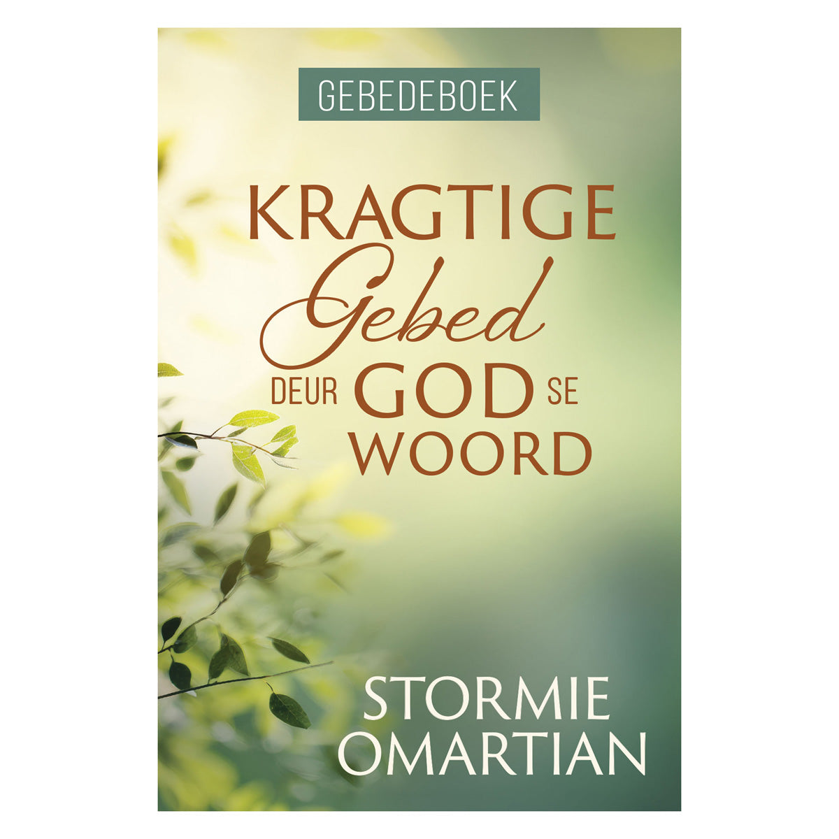 Kragtige Gebed deur God Se Woord Gebedeboek Hersiene Uitgawe (Sagteband)