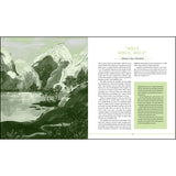 Timeless Hymns For Family Worship: Bringing Gospel-Centered Moments Into Your Home (Hardcover)