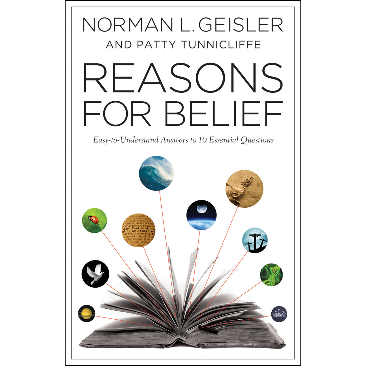 Reasons To Believe (Paperback)