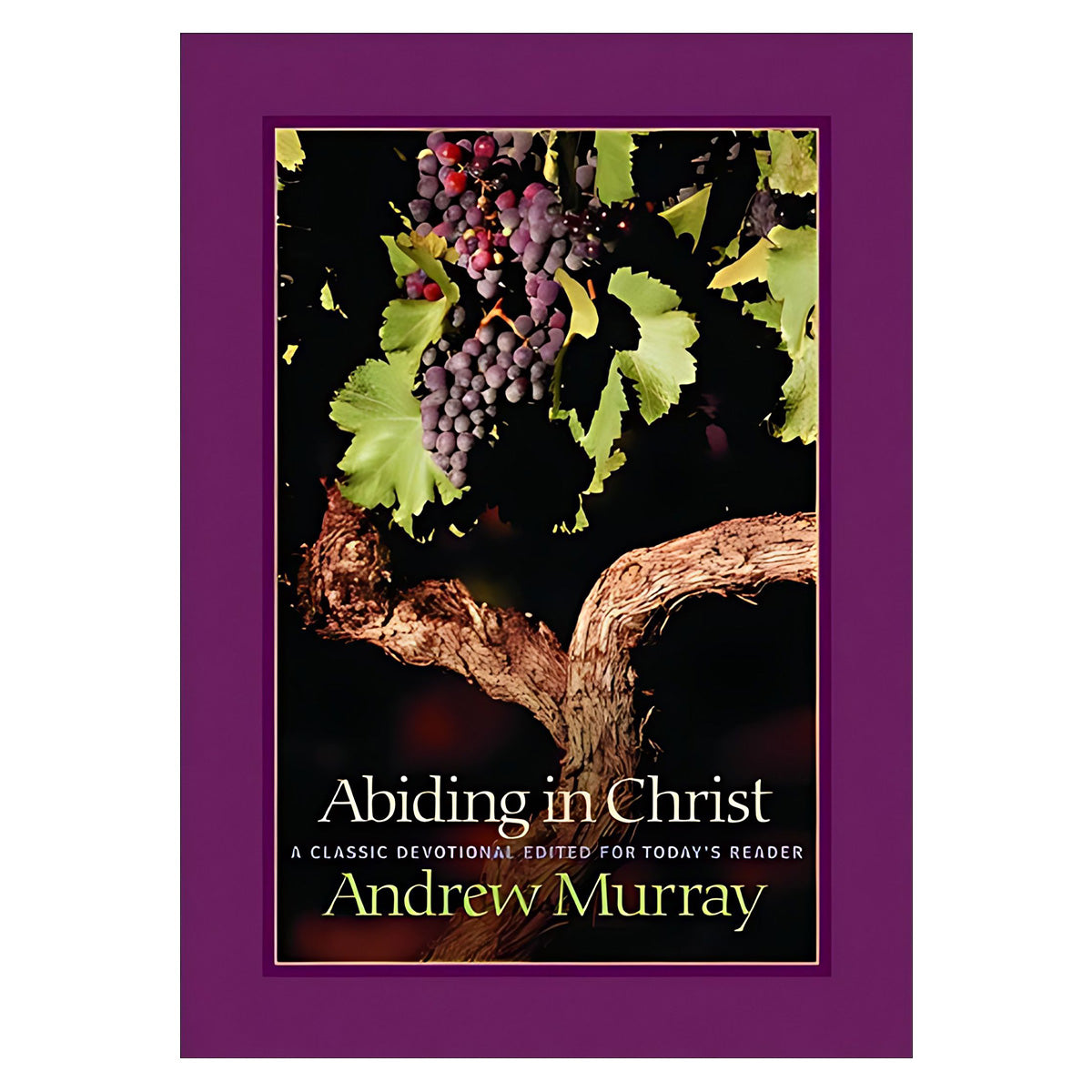 Abiding in Christ (Paperback)