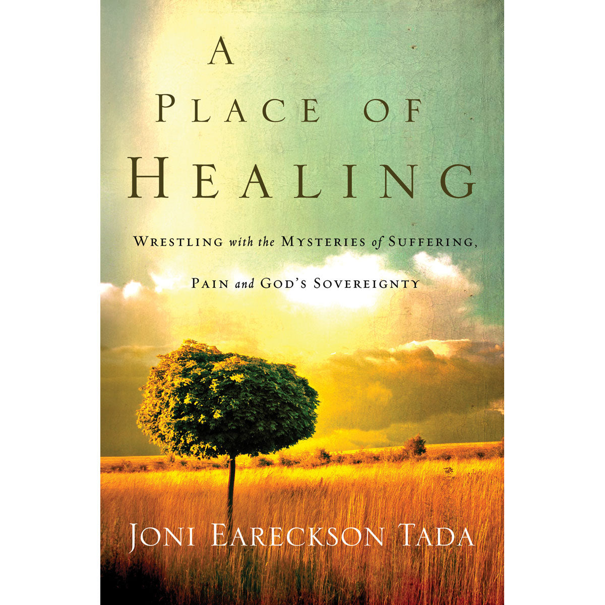 A Place Of Healing (Paperback)