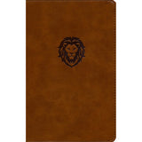 NKJV Thinline Bible Youth Red Letter Brown (Comfort Print)(Imitation Leather)