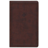 NRSV Catholic Gift Edition Brown (Comfort Print)(Imitation Leather)