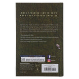 KJV Everyday Bible Red Letter Comfort Print (Hardcover)