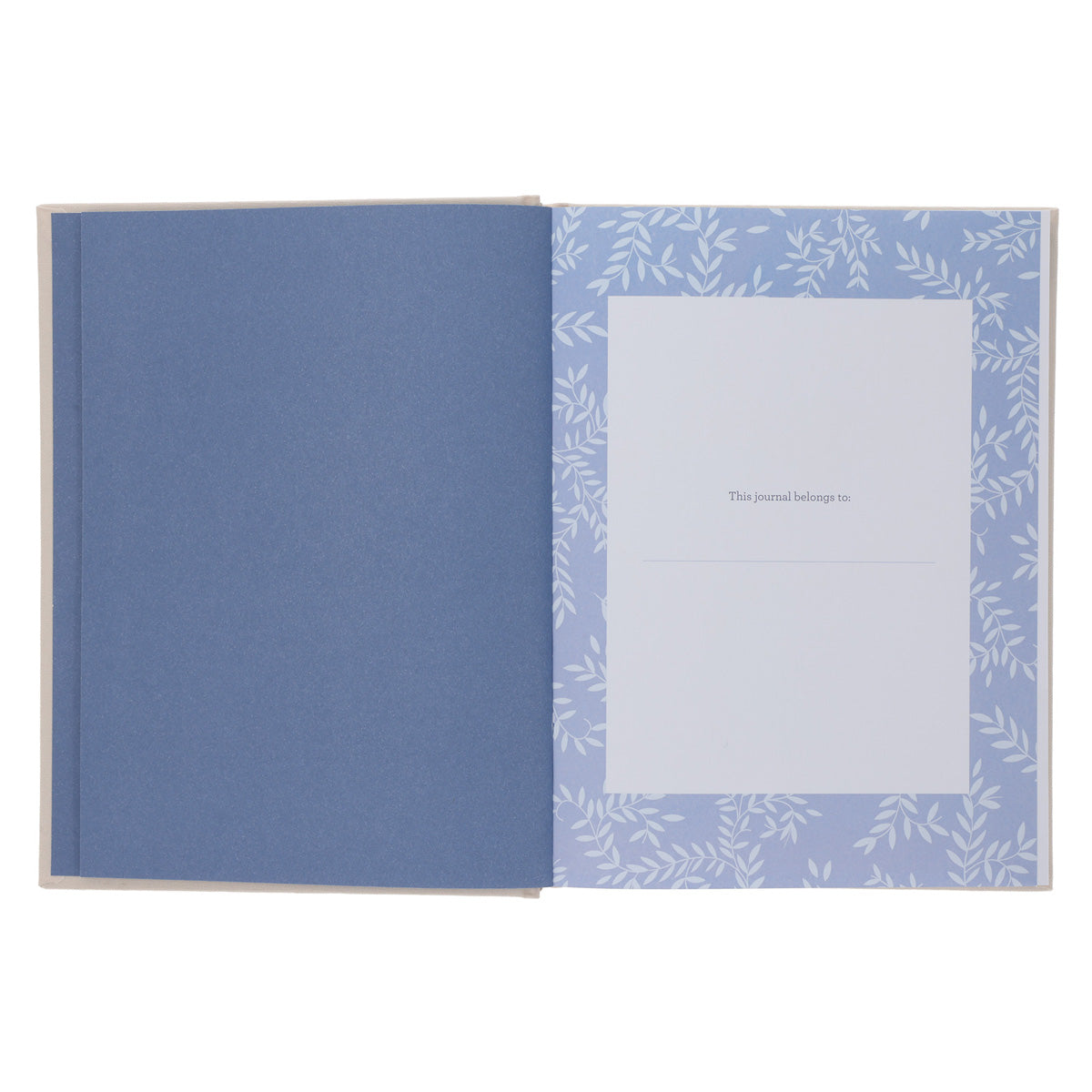 Journaling Through Your Pregnancy: Devotions & Prayers for Each Week of Your Baby's Development HC