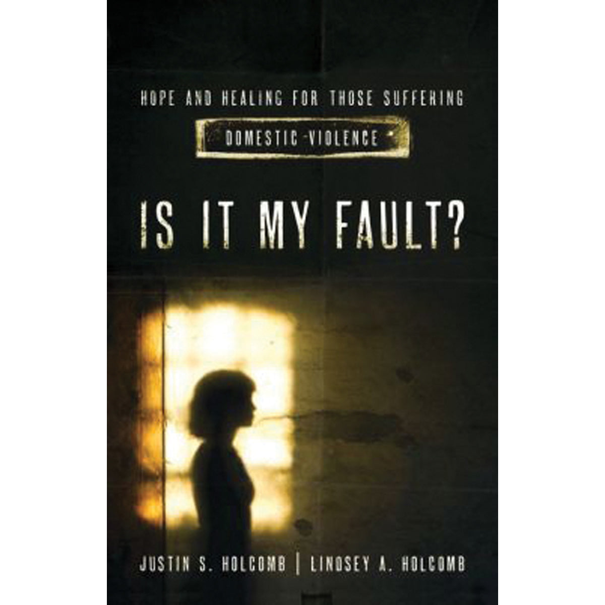 Is It My Fault (Paperback)