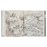 Little Pilgrim's Progress (Illustrated Edition): From John Bunyan's Classic (Hardcover)