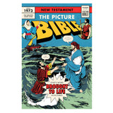 The Picture Bible New Testament (Paperback)