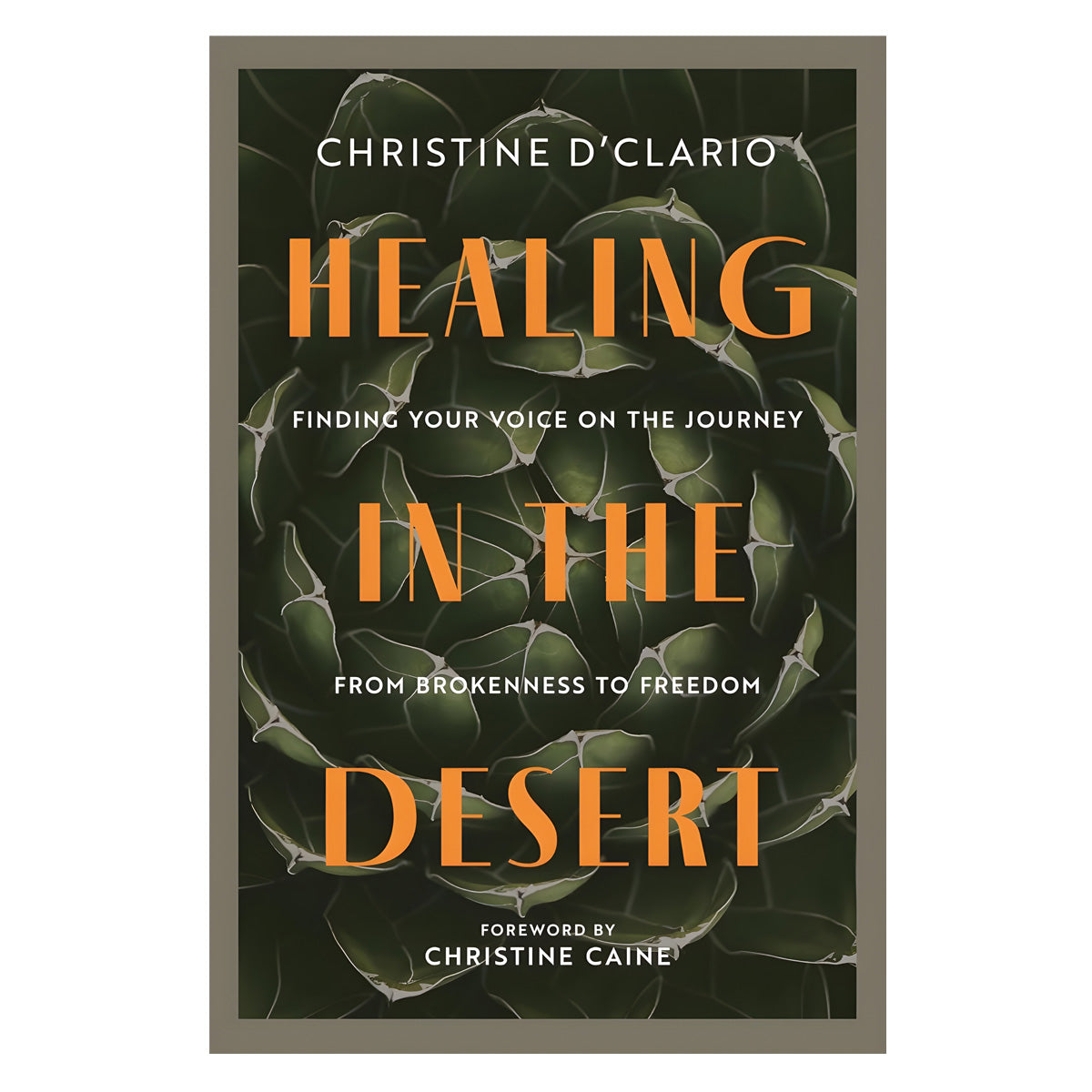 Healing in the Desert: Finding Your Voice on the Journey from Brokenness to Freedom PB