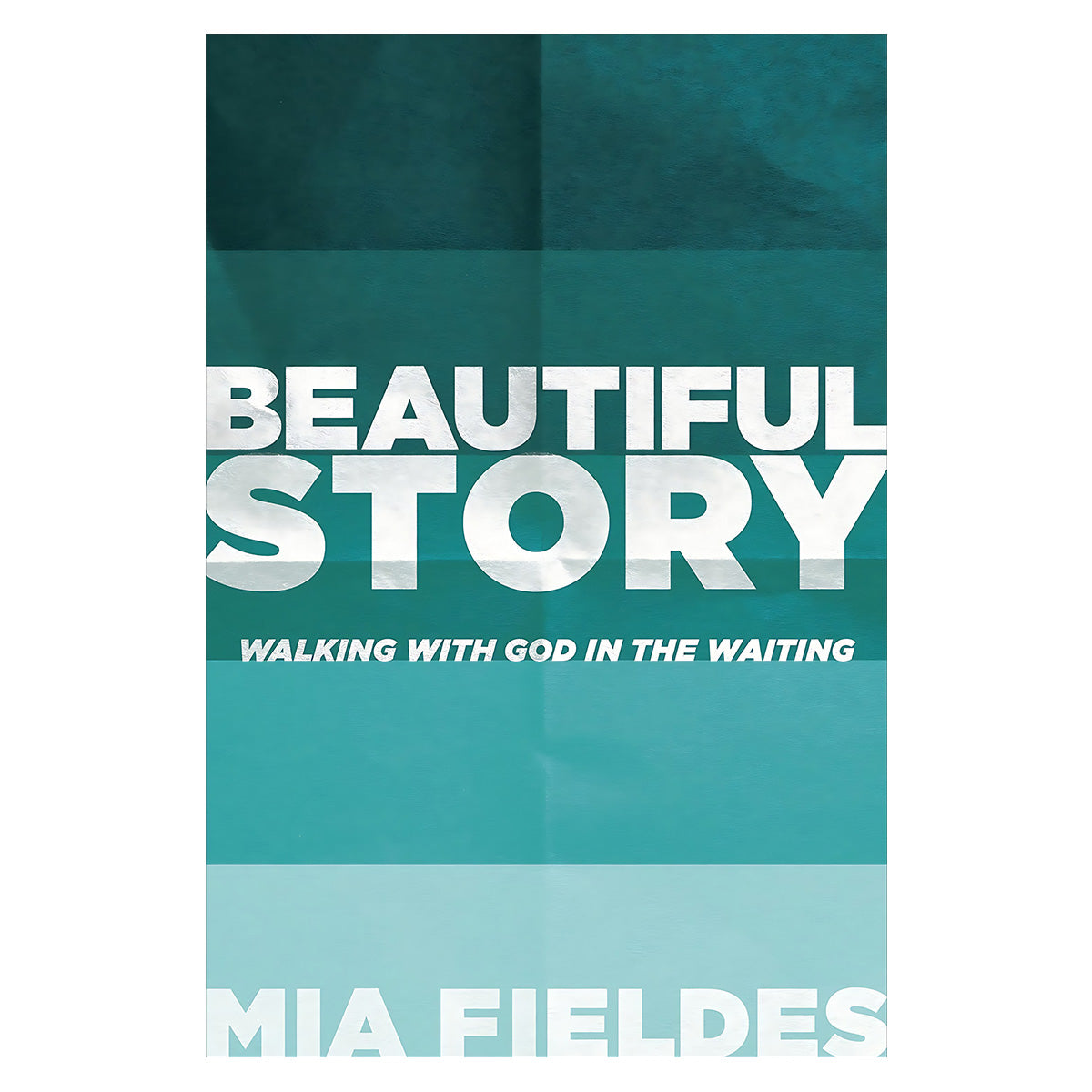 Beautiful Story: Walking with God in the Waiting (Paperback)
