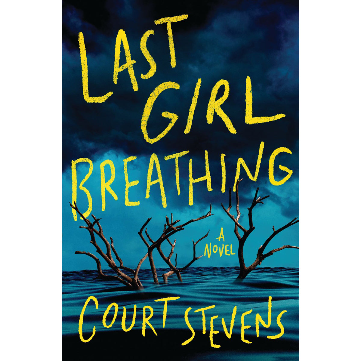 Last Girl Breathing: A Novel (Hardcover)