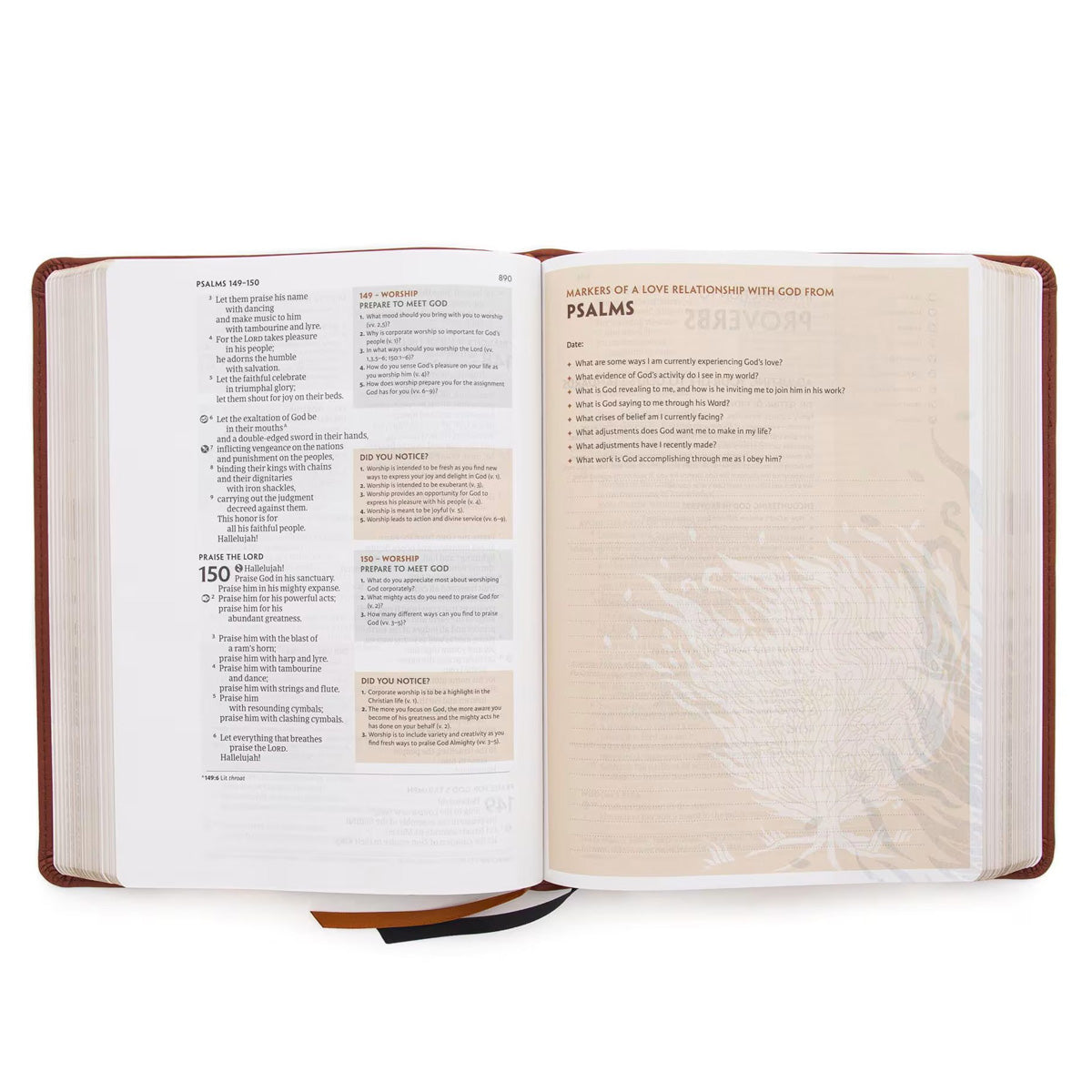 CSB Experiencing God Bible Burnt Sienna (Imitation Leather)
