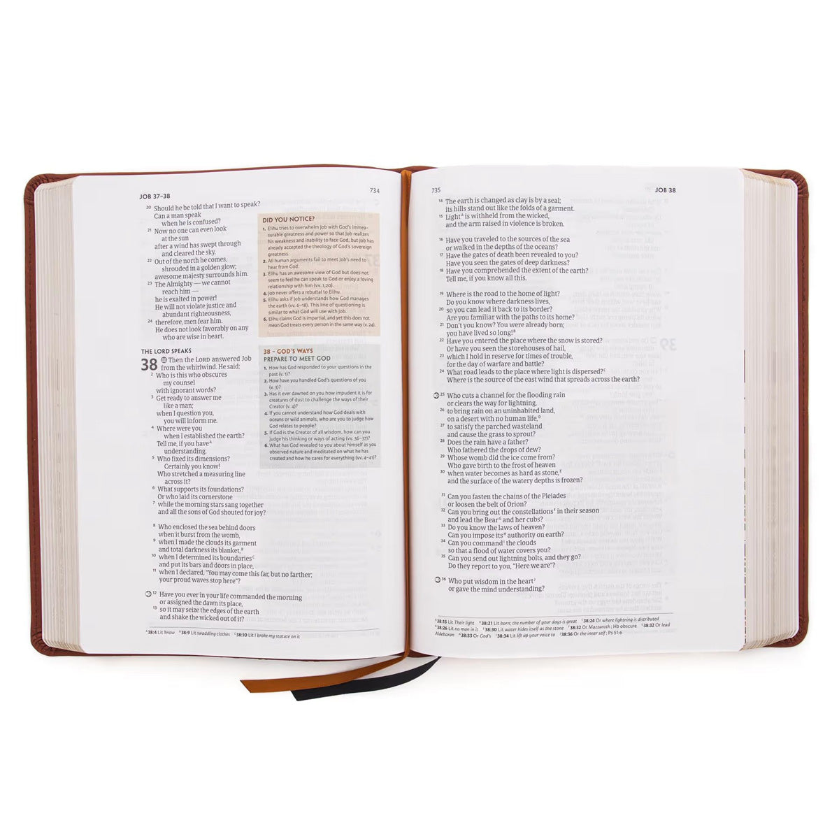CSB Experiencing God Bible Burnt Sienna (Imitation Leather)