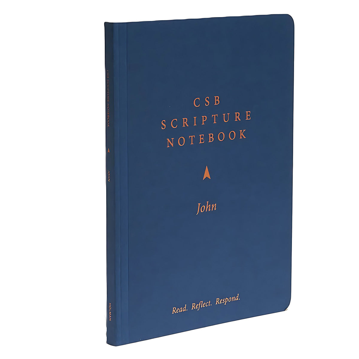 CSB Scripture Notebook, John, Large Print, Paperback, Blue