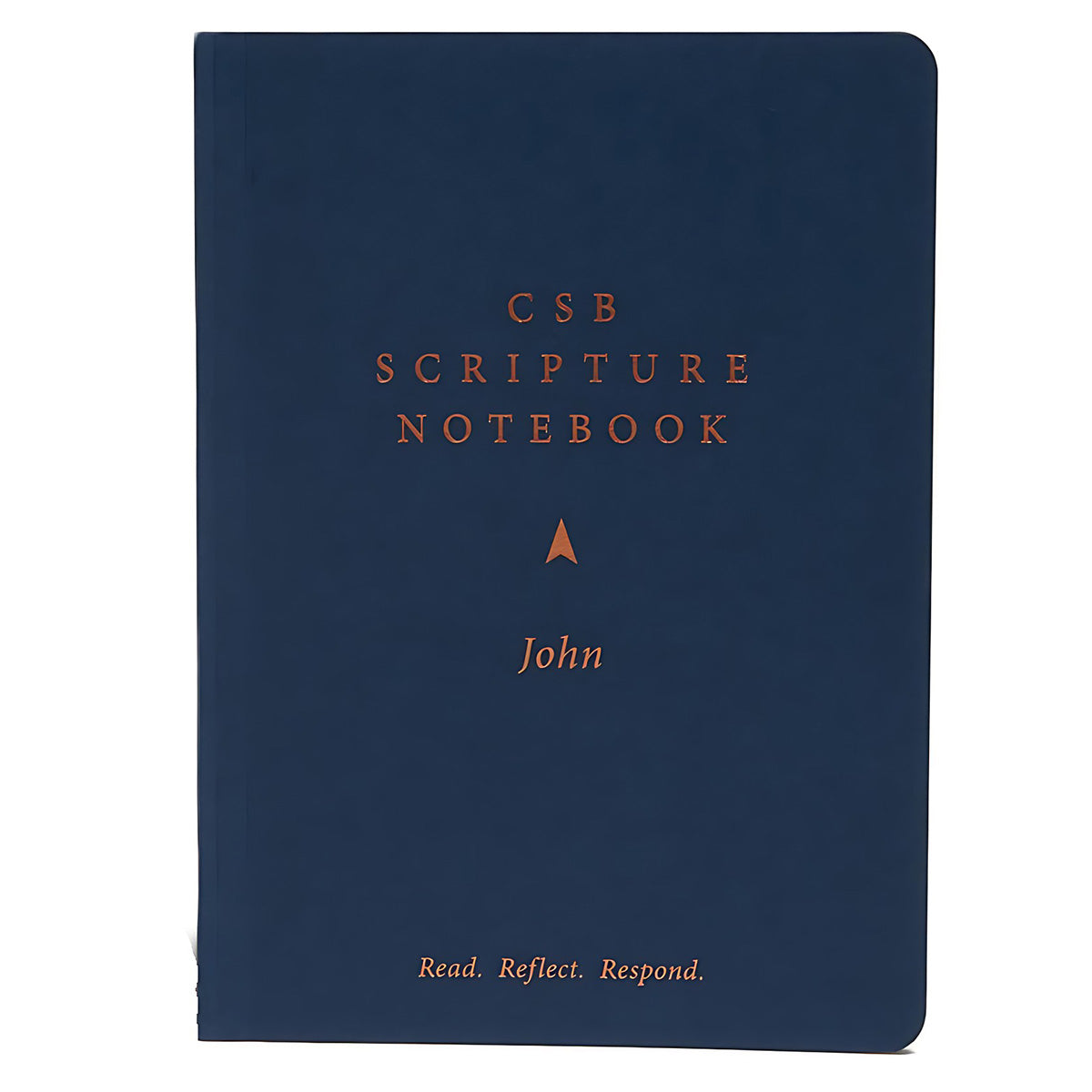 CSB Scripture Notebook, John, Large Print, Paperback, Blue