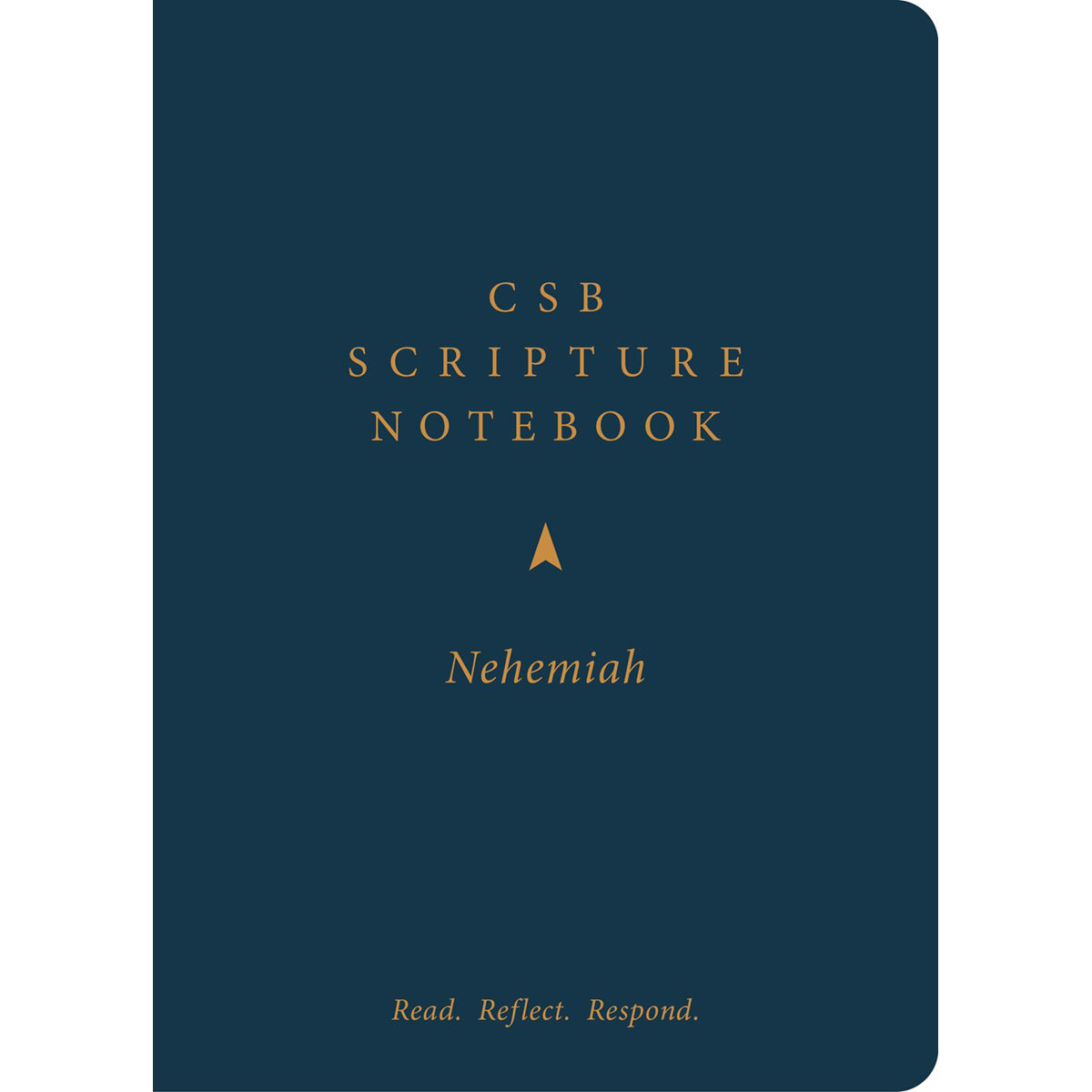 CSB Scripture Notebook Nehemiah: Read Reflect Respond (Paperback)